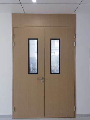 Off-White/Blue Cleanroom Swing Door with Thermal Insulation for Dust Prevention