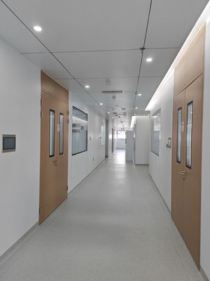 Wooden Grain Steel Double Cleanroom Swing Door Hospital Metal Doors With Glass Vision